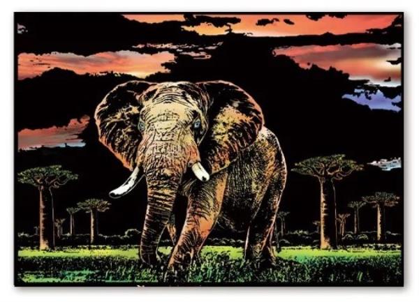 A3 Black Rainforest Animal Scratch Off Cards