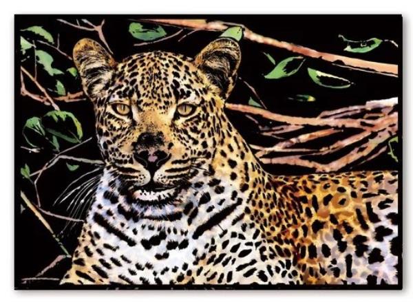 A3 Black Rainforest Animal Scratch Off Cards