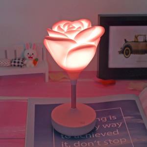 LED Trophy Night Light Pen Holder Desk USB Lamp