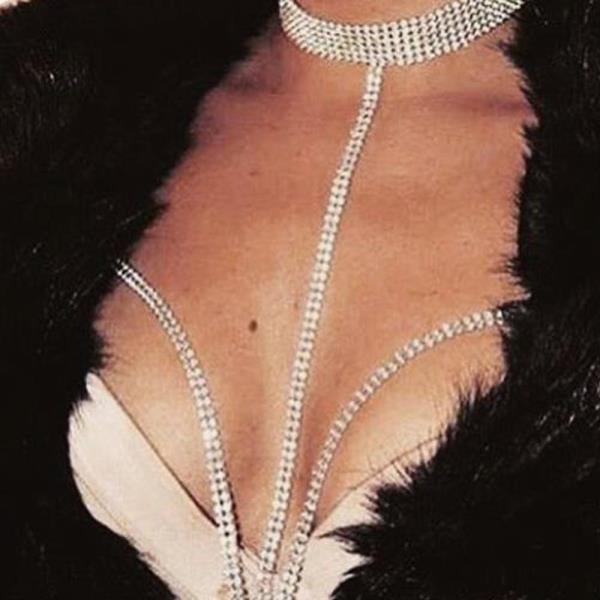 Silver Shiny Choker Necklace Chest Chain