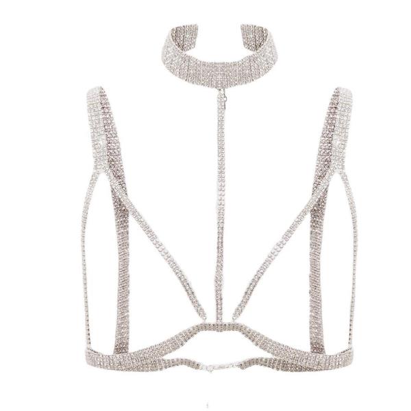 Silver Shiny Choker Necklace Chest Chain