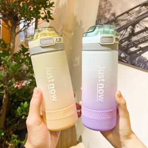 Gradual Colour Sippy Water Gym Bottle