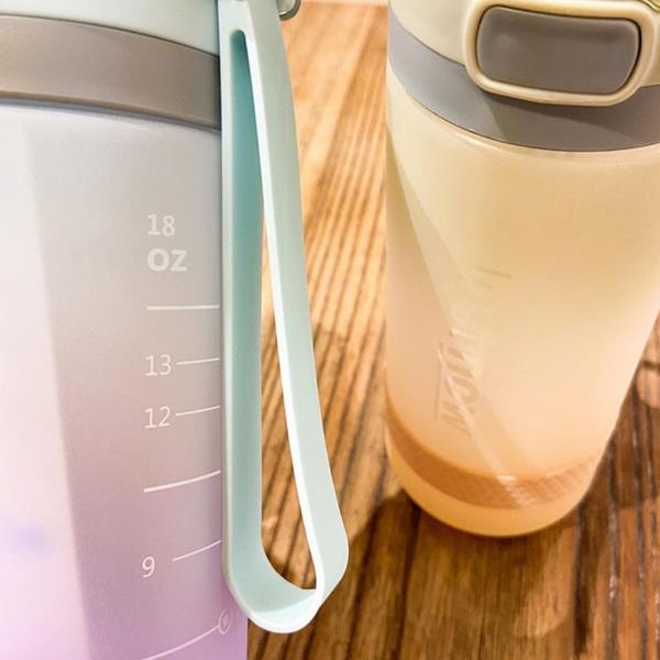 Gradual Colour Sippy Water Gym Bottle