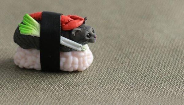 5 Creative 3D PVC Sushi Cat Fridge Magnets