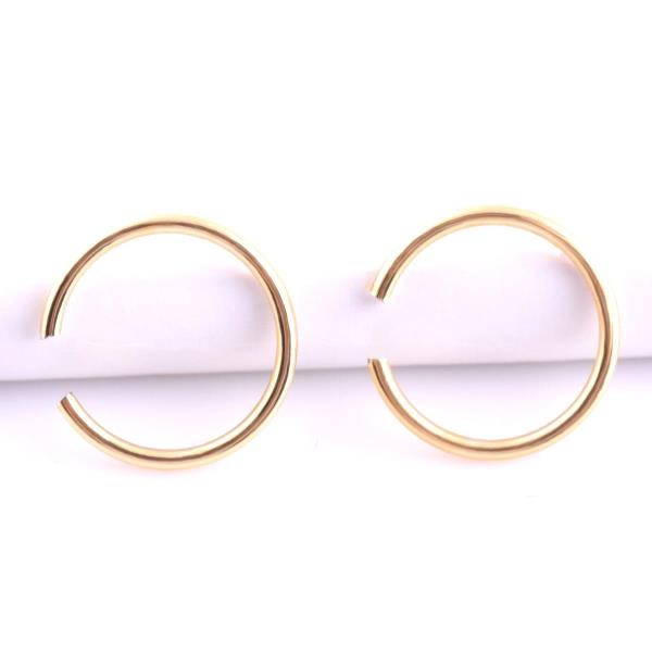 Stainless Steel Nose Lip Ear Rings