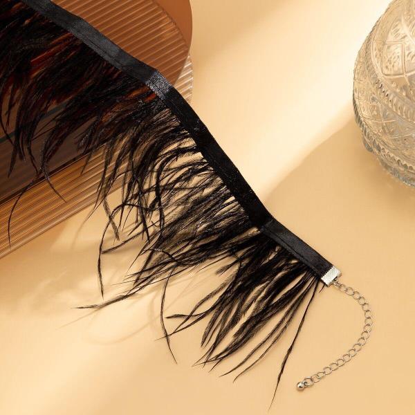 Punk Black Feather Choker Necklace