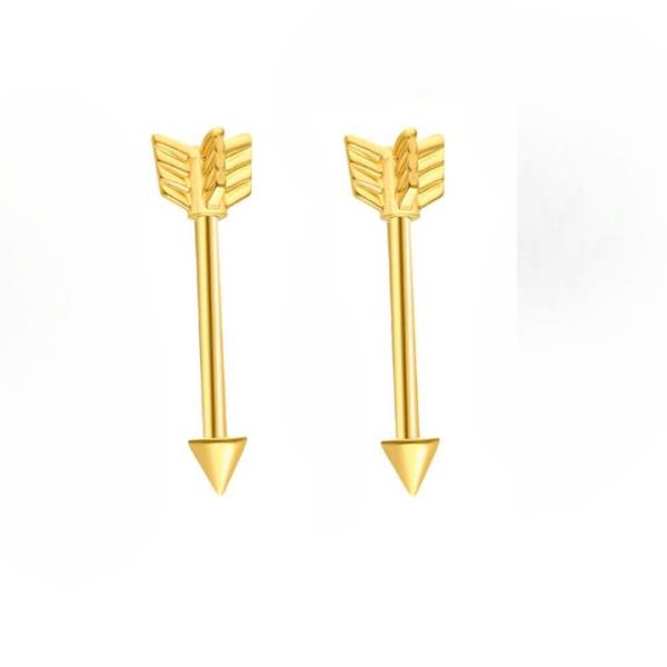 1 Pair Arrow Stainless Steel Piercing Earrings Jewellery