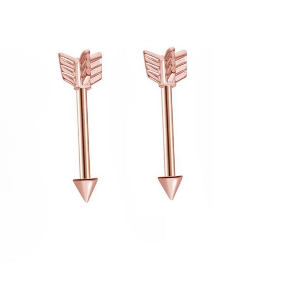 1 Pair Arrow Stainless Steel Piercing Earrings Jewellery