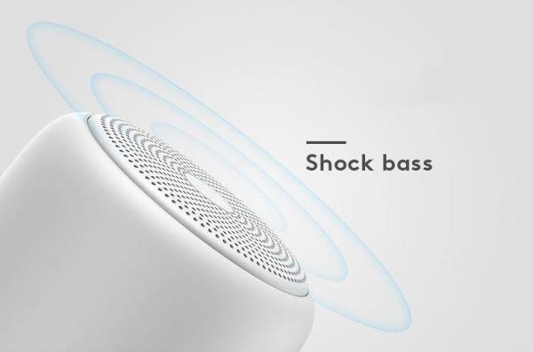 Sanag Subwoofer Bluetooth Speaker